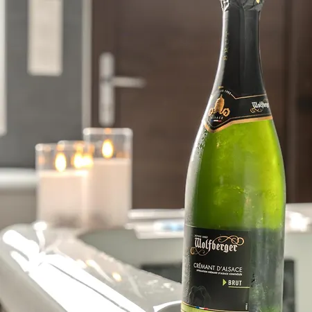 Energyzen - & Sauna Alsace - L'atelier Des Songes Lejlighed Bischoffsheim