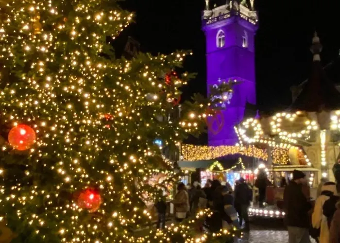 Energyzen - & Sauna Alsace - L'atelier Des Songes *